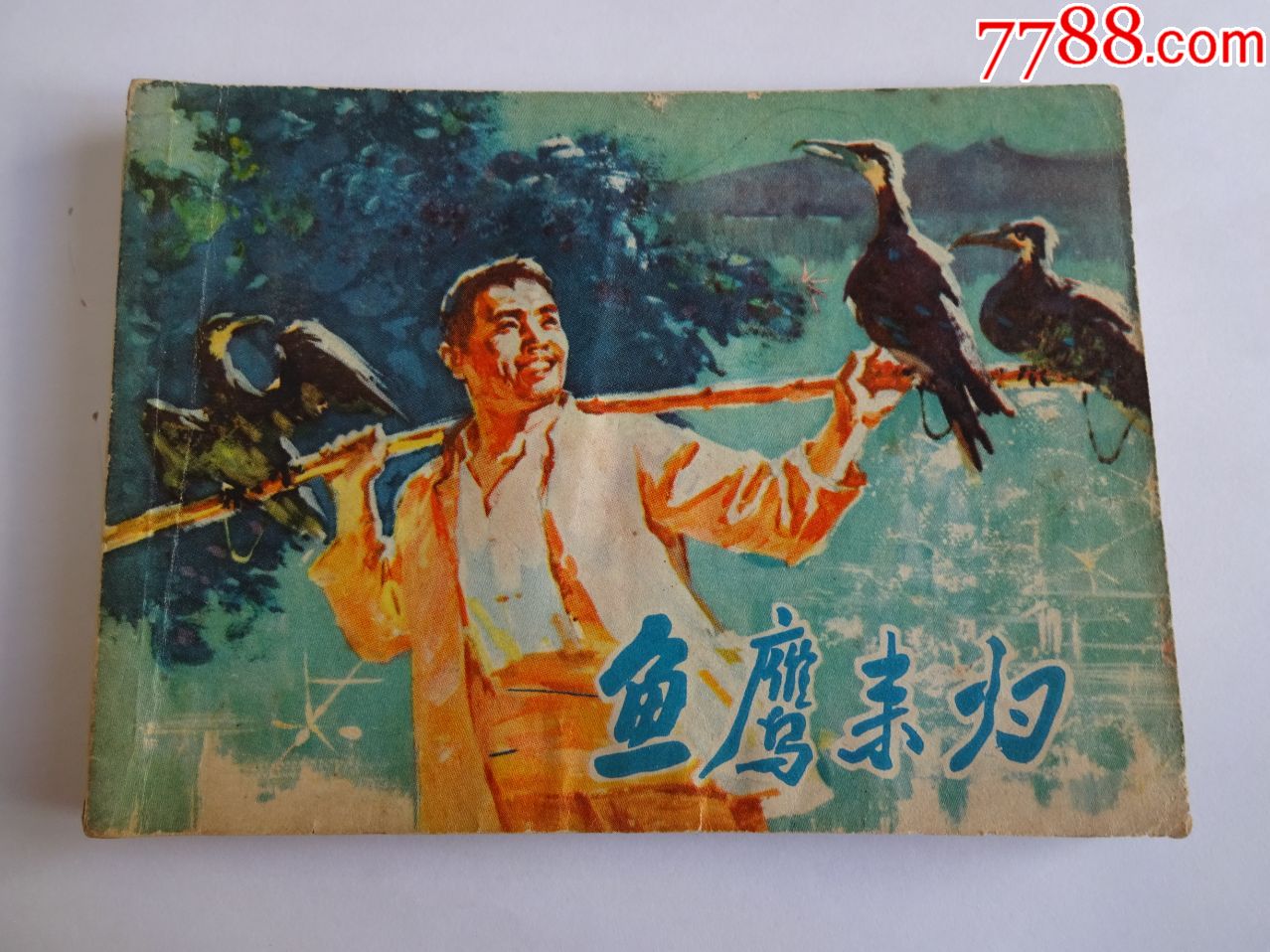 鱼鹰来归