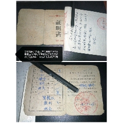 回原籍参加农业生产的证明书/62年平顶山市/(se78313591)_7788收藏__收藏热线
