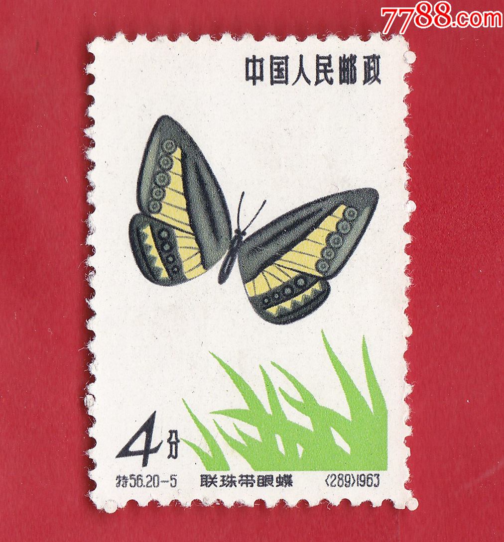 特56(20-5)蝴蝶·连珠带眼蝶(4分)邮票_新中国邮票_收藏行情_回收价格