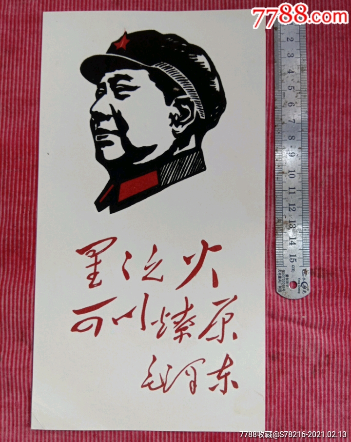 【植绒】星星之火,可以燎原