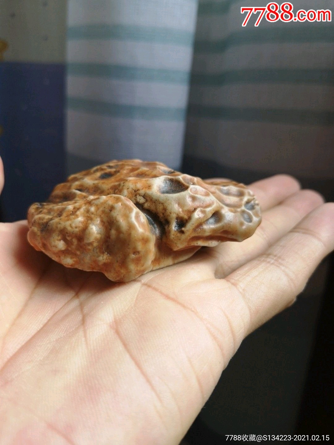 戈壁石"金蟾"_风砺石/戈壁石_产地图片_收藏价值_7788奇石收藏