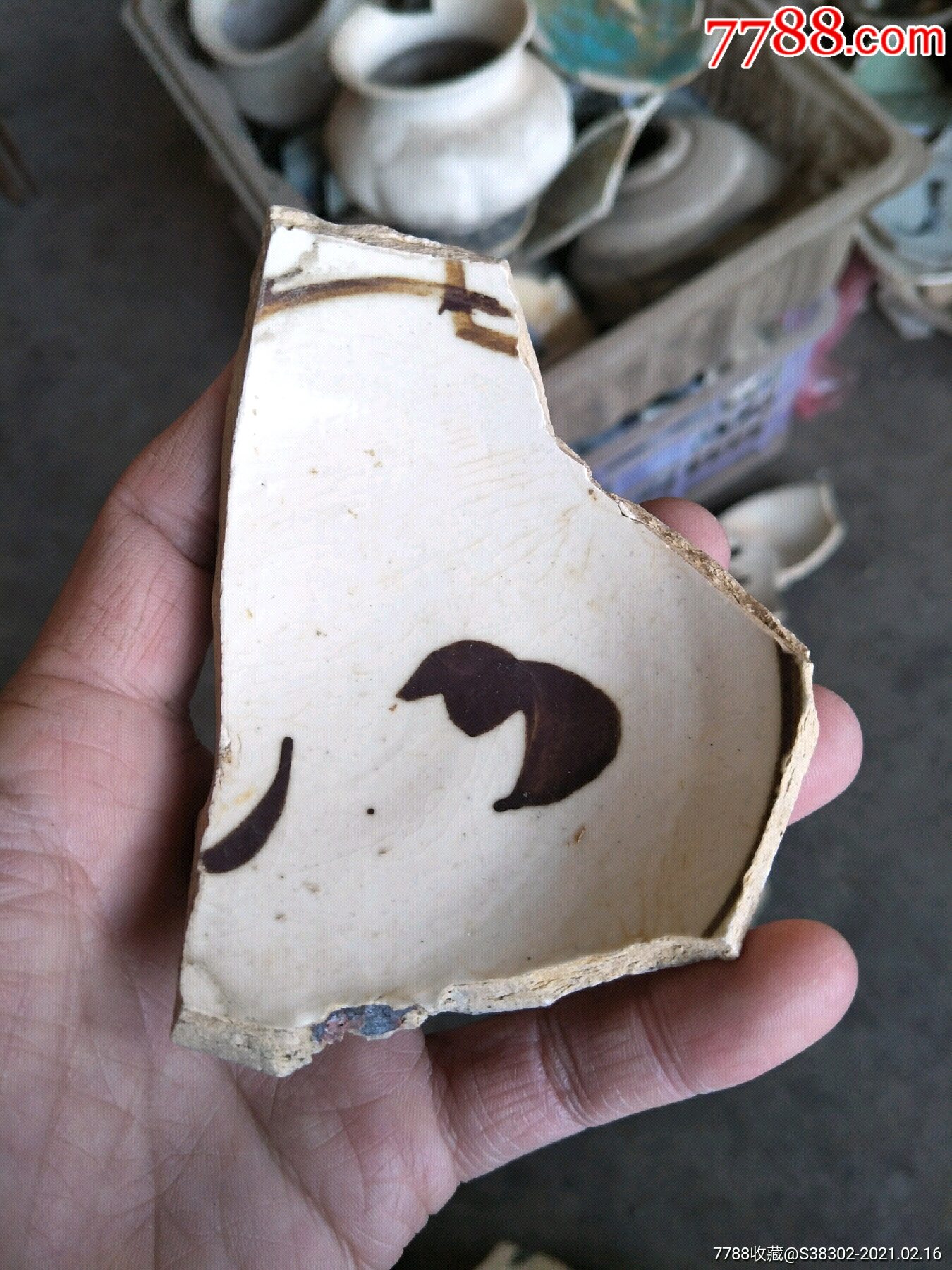 宋元磁州窑瓷片一枚临清运河古玩店万枚瓷片标本馆