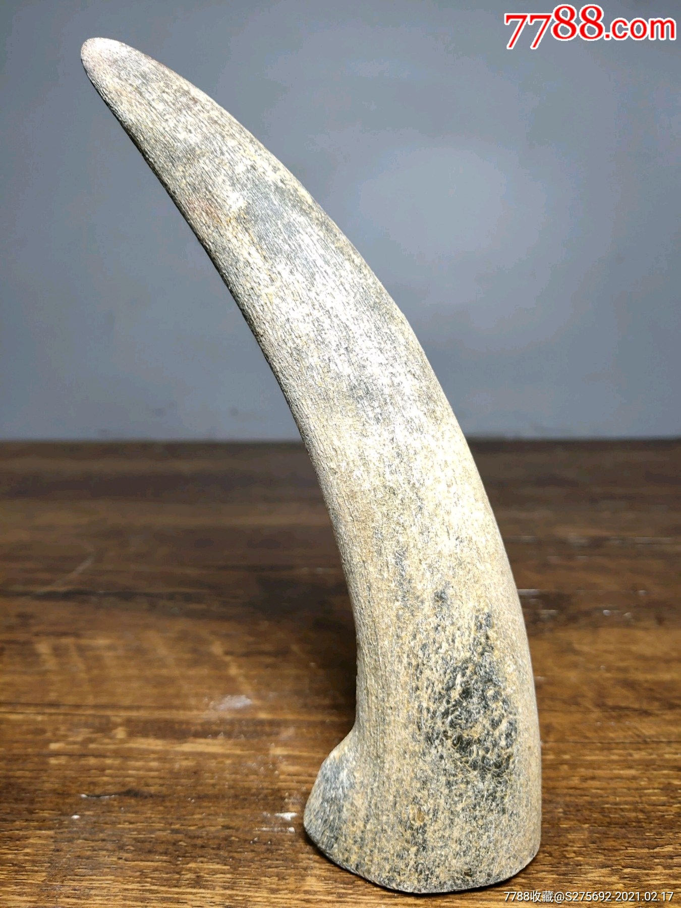 风化老牛角尖镇宅辟邪保平安摆件