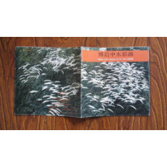 傅启中水彩画(se78419537)_7788收藏__收藏热线