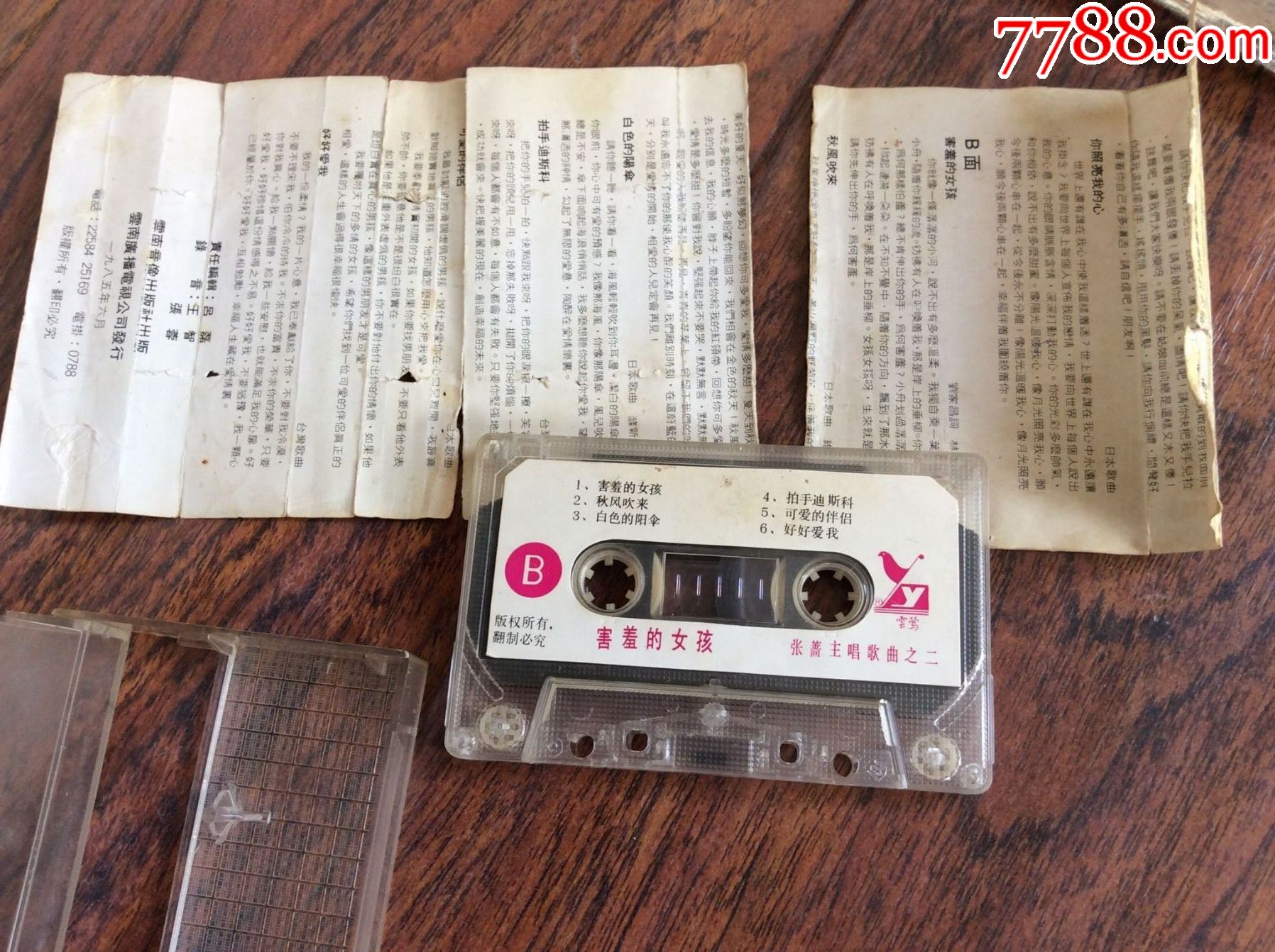 害羞的女孩-张蔷主唱之二