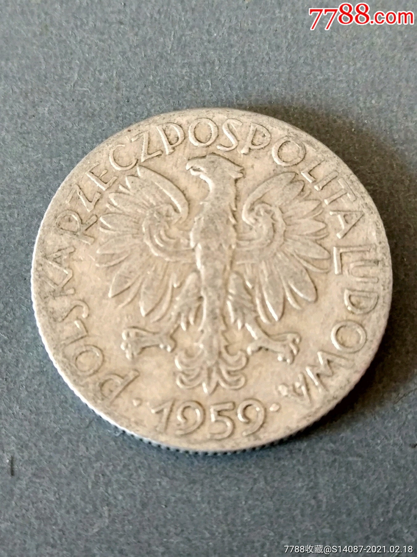 外币1959年波兰5兹罗提