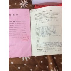 1972年上海钟表机修厂同一人录取及民兵队员申请表(se78452068)_7788收藏__收藏热线