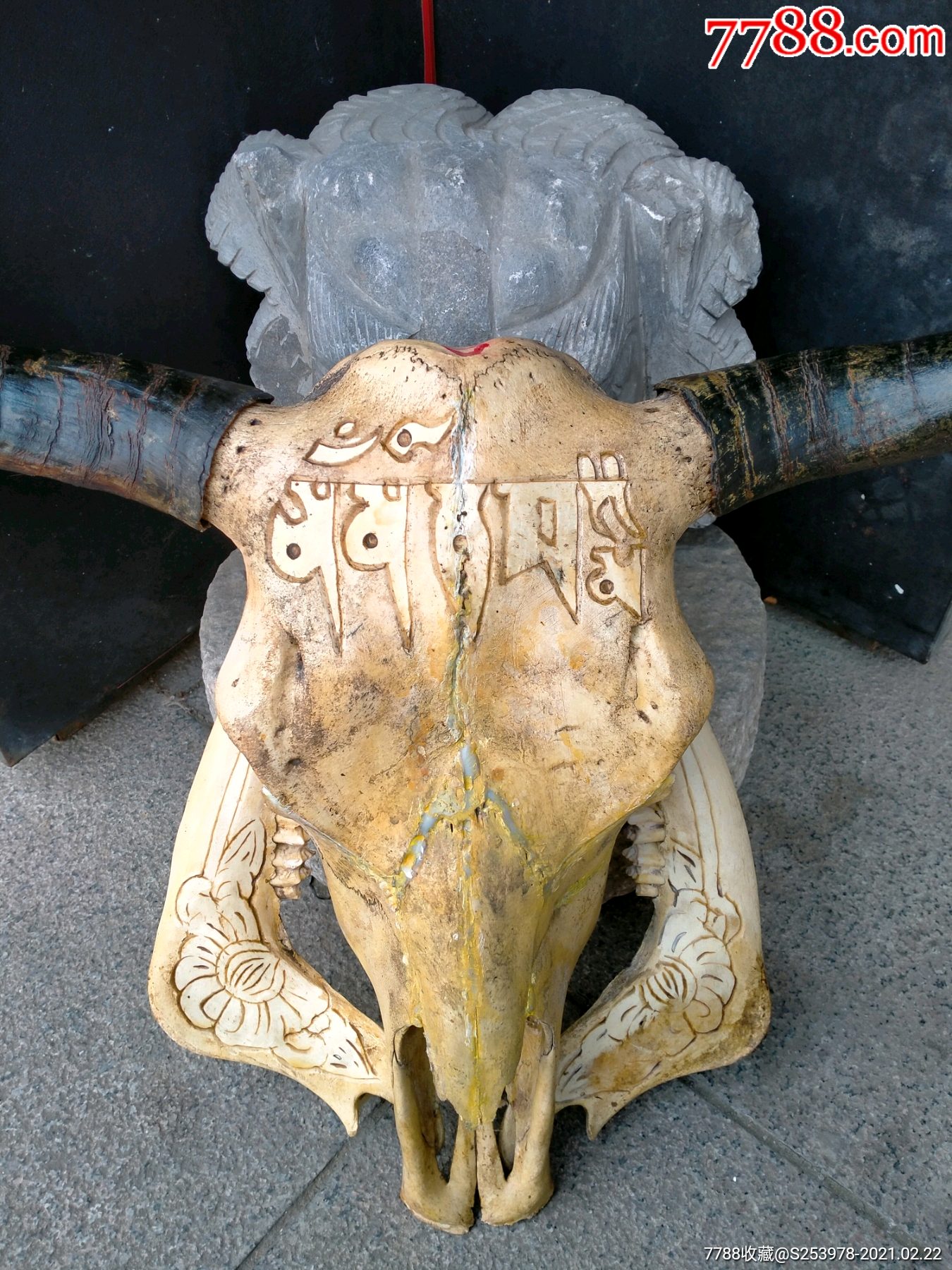 今天才收一个完整老牦牛雕刻牛头,满工高浮雕,上面不知是什么字尺寸