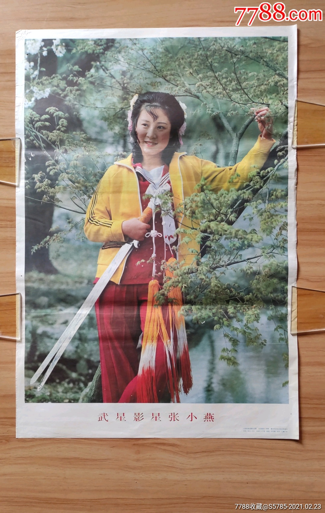 武星影星张小燕