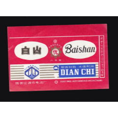 白山电池——中国辽源电池厂(se78523779)_7788收藏__收藏热线