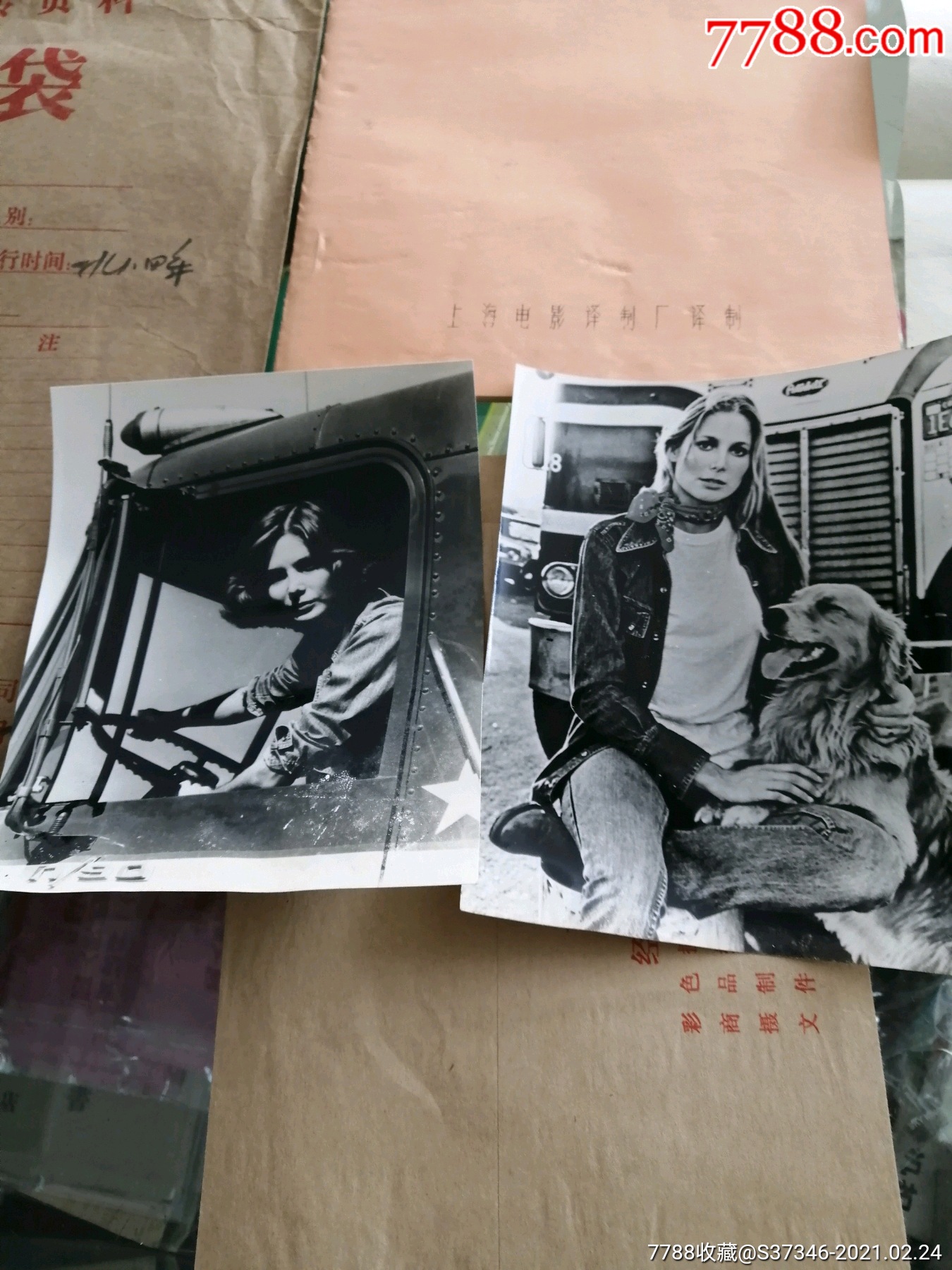 电影海报剧照照片台本说明书维拉