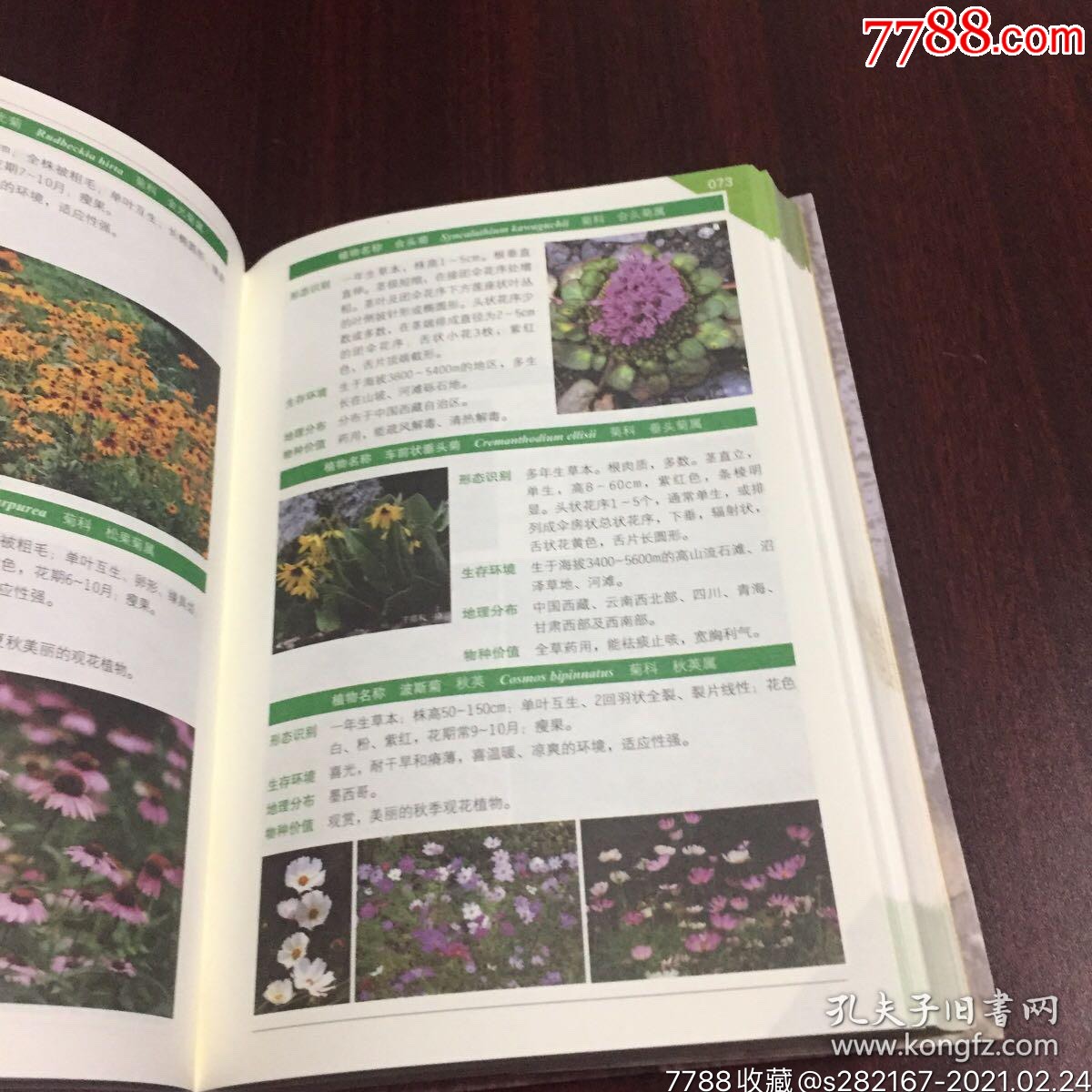 野外植物識別手冊-手冊/工具書-7788硯臺收藏