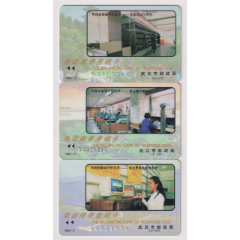 湖北-武汉-缴费查询卡-3全(se78543004)_7788收藏__收藏热线