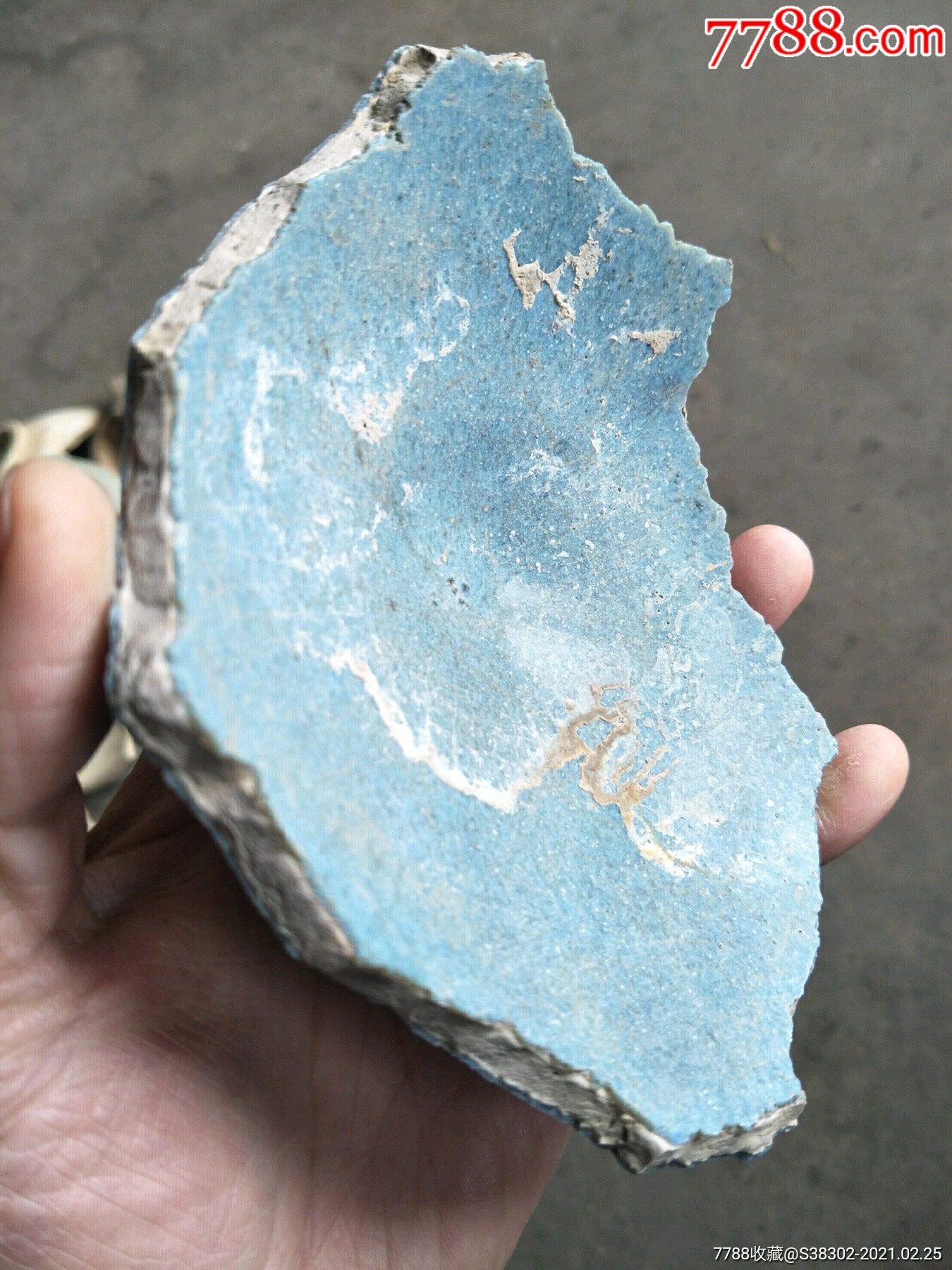 京杭大运河出品钧窑瓷片一枚临清运河古玩店万枚瓷片标本馆