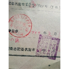 1954年中国新民主主义青年团《入团志愿书》(se78553674)_7788收藏__收藏热线