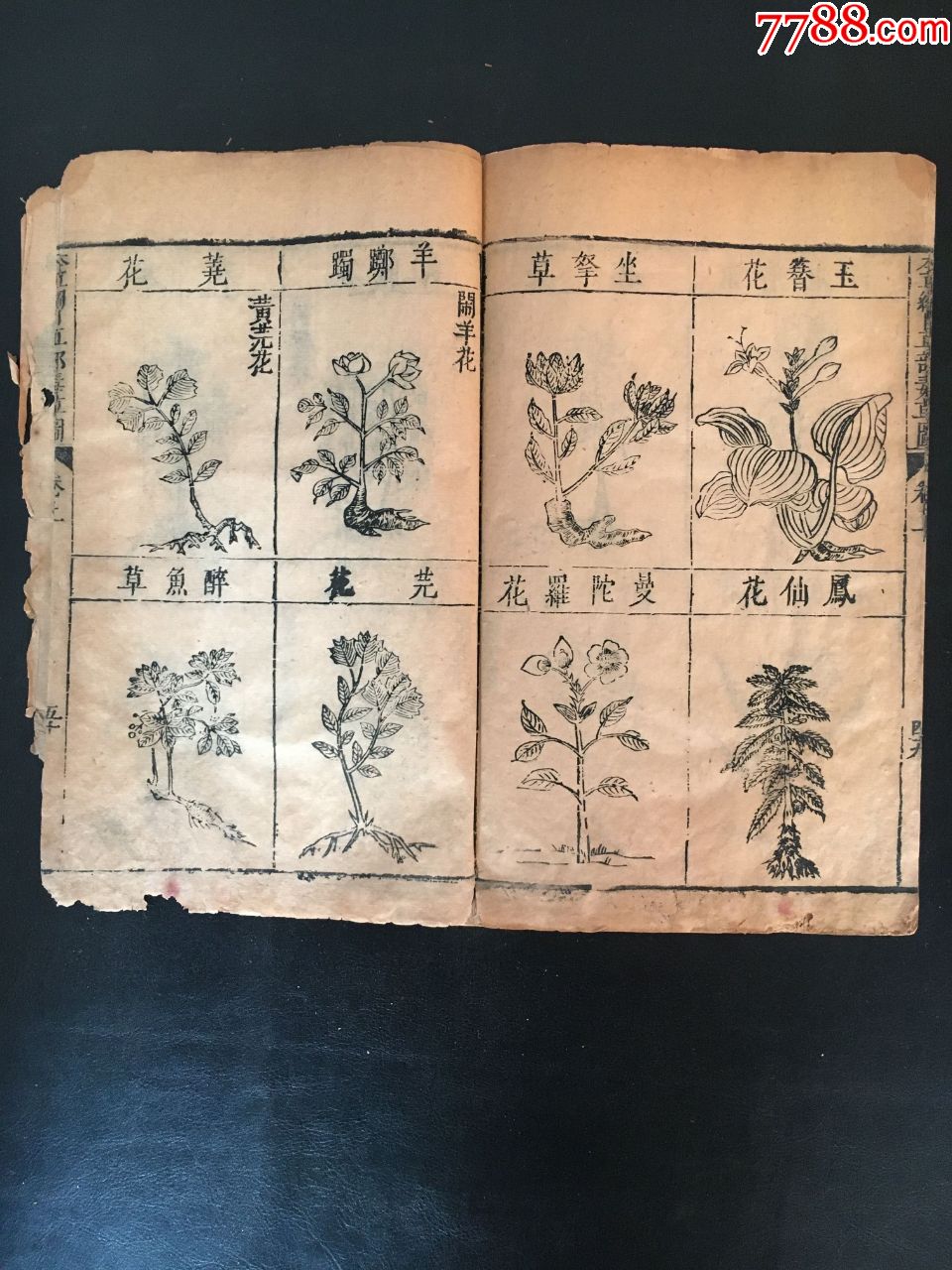 《本草纲目》图,卷上,一册_古籍/善本_第28张_7788工艺画
