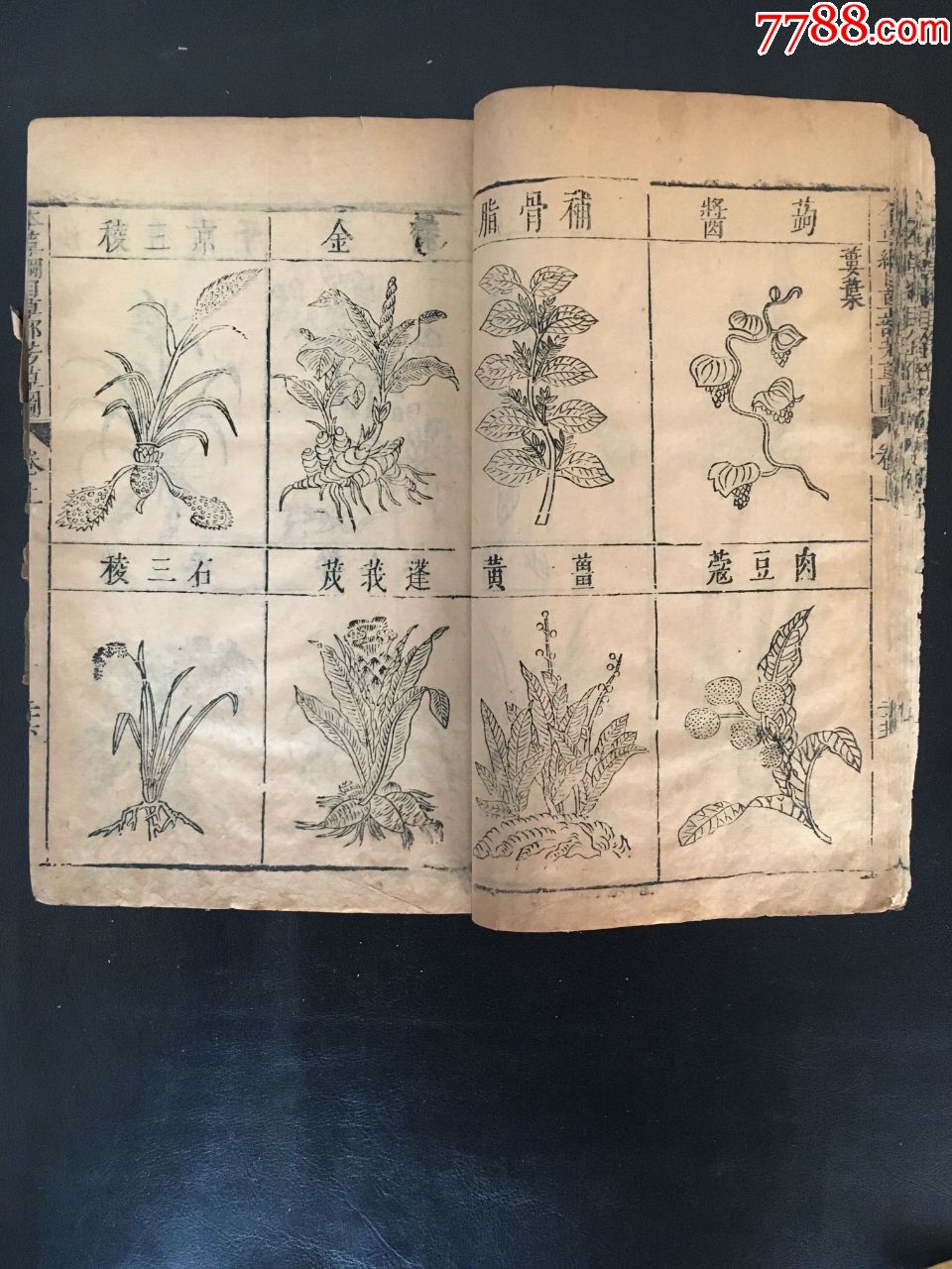 明末清初刻本,《本草纲目》图,卷上,一册