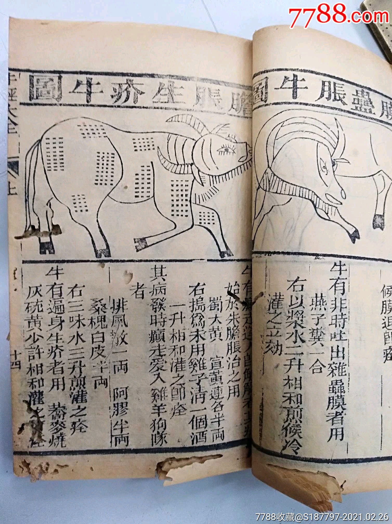 清木刻相法牛经大全