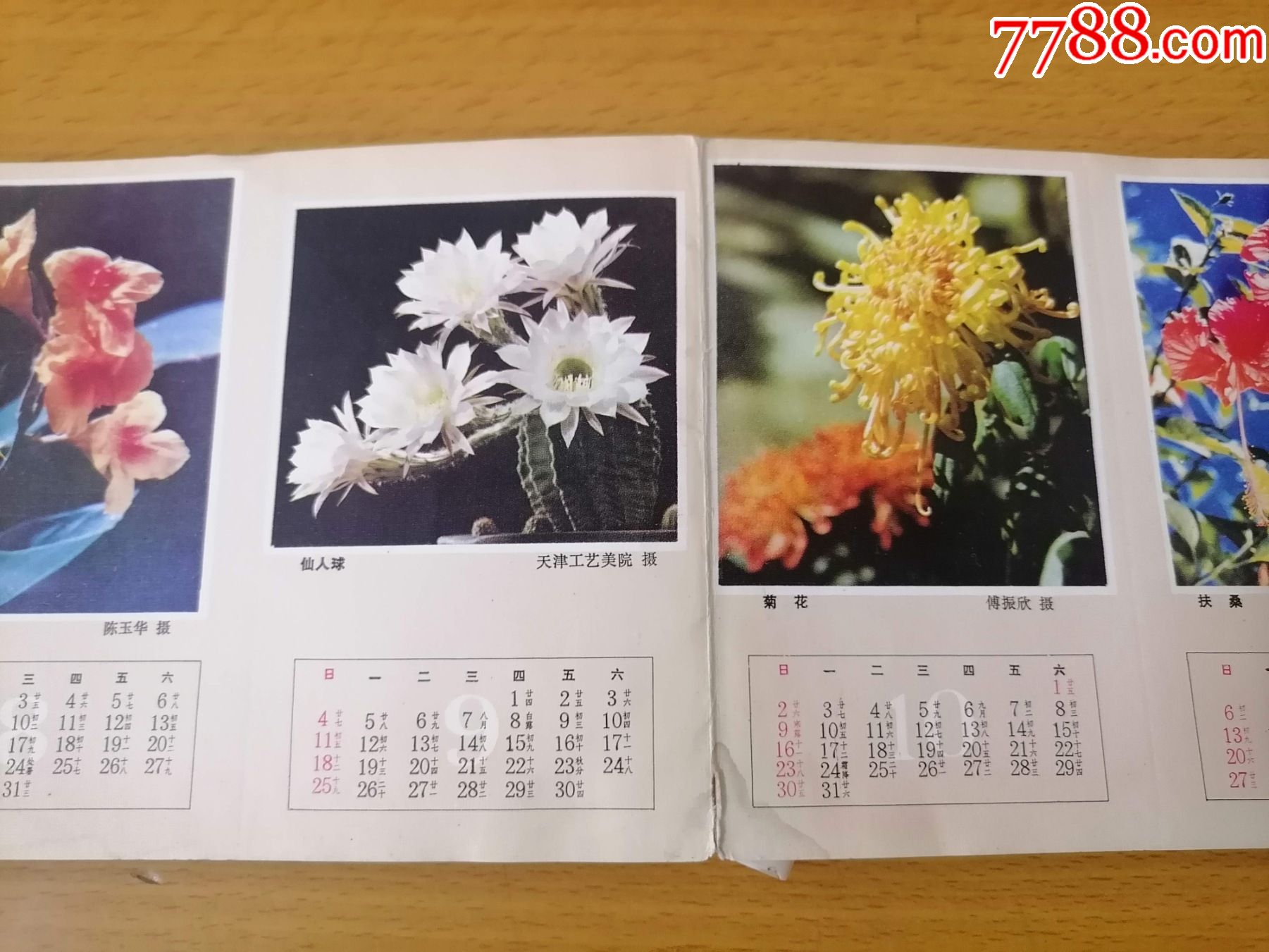 1983年連體年曆畫片(12種花卉及花令花事環境綠化)