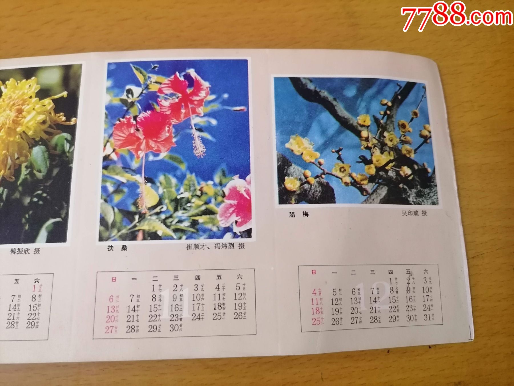 1983年連體年曆畫片(12種花卉及花令花事環境綠化)