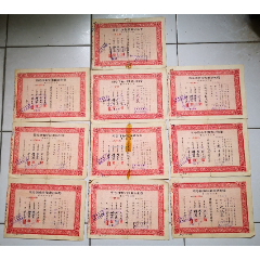 10张批股票36年信和纱厂股份有限公司股票定额伍万股5万元增资股B1(se78606927)_7788收藏__收藏热线