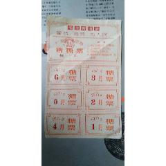 广东省揭阳县购糖票（城郊带语录）一年(se78609028)_7788收藏__收藏热线