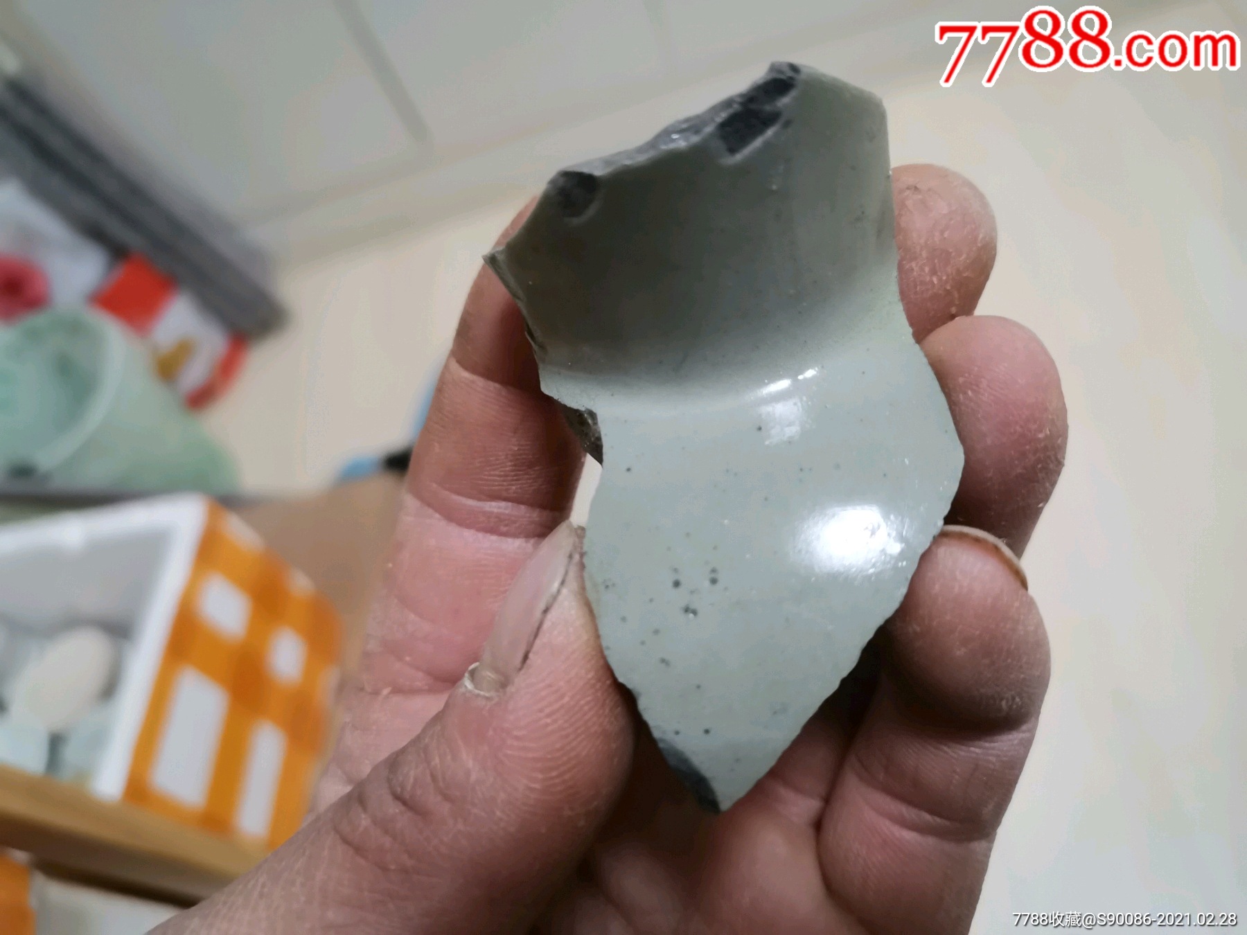 越窑秘色瓷标本