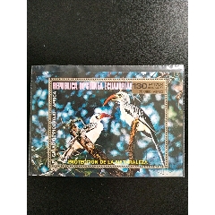 1976年赤道几内亚非洲鸟类盖销小型张(se78627107)_7788收藏__收藏热线