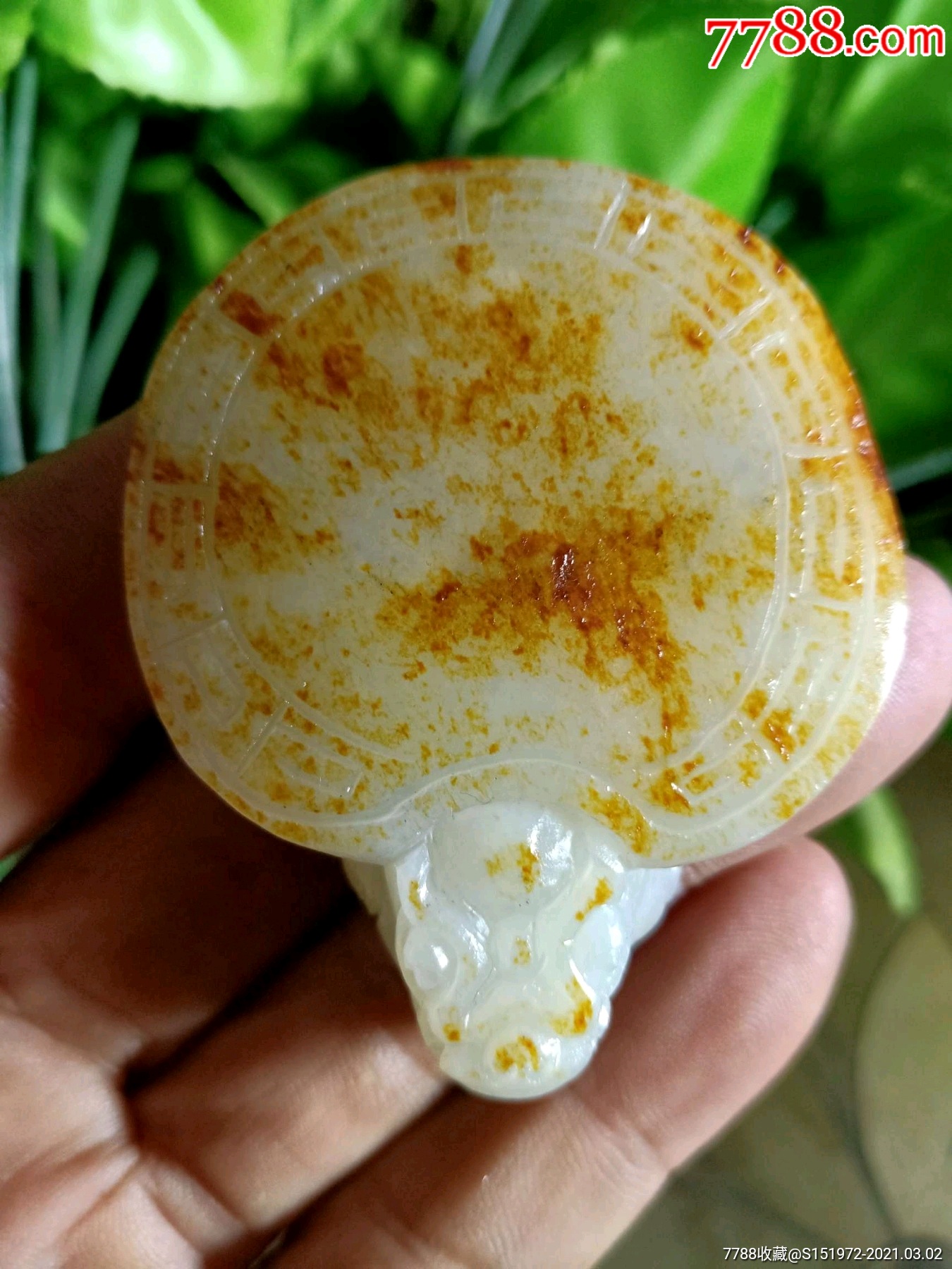 新疆天然和田玉长寿龙龟