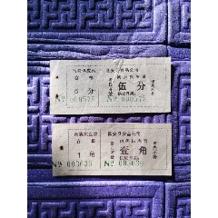 隆安县食品公司，肉类供应票，5分，1角，二张，(se78646981)_7788收藏__收藏热线