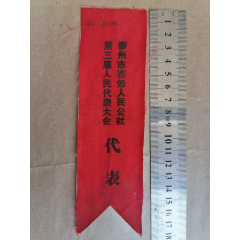 代表（泰州市西郊人民公社第三届人民代表大会）(se78647315)_7788收藏__收藏热线
