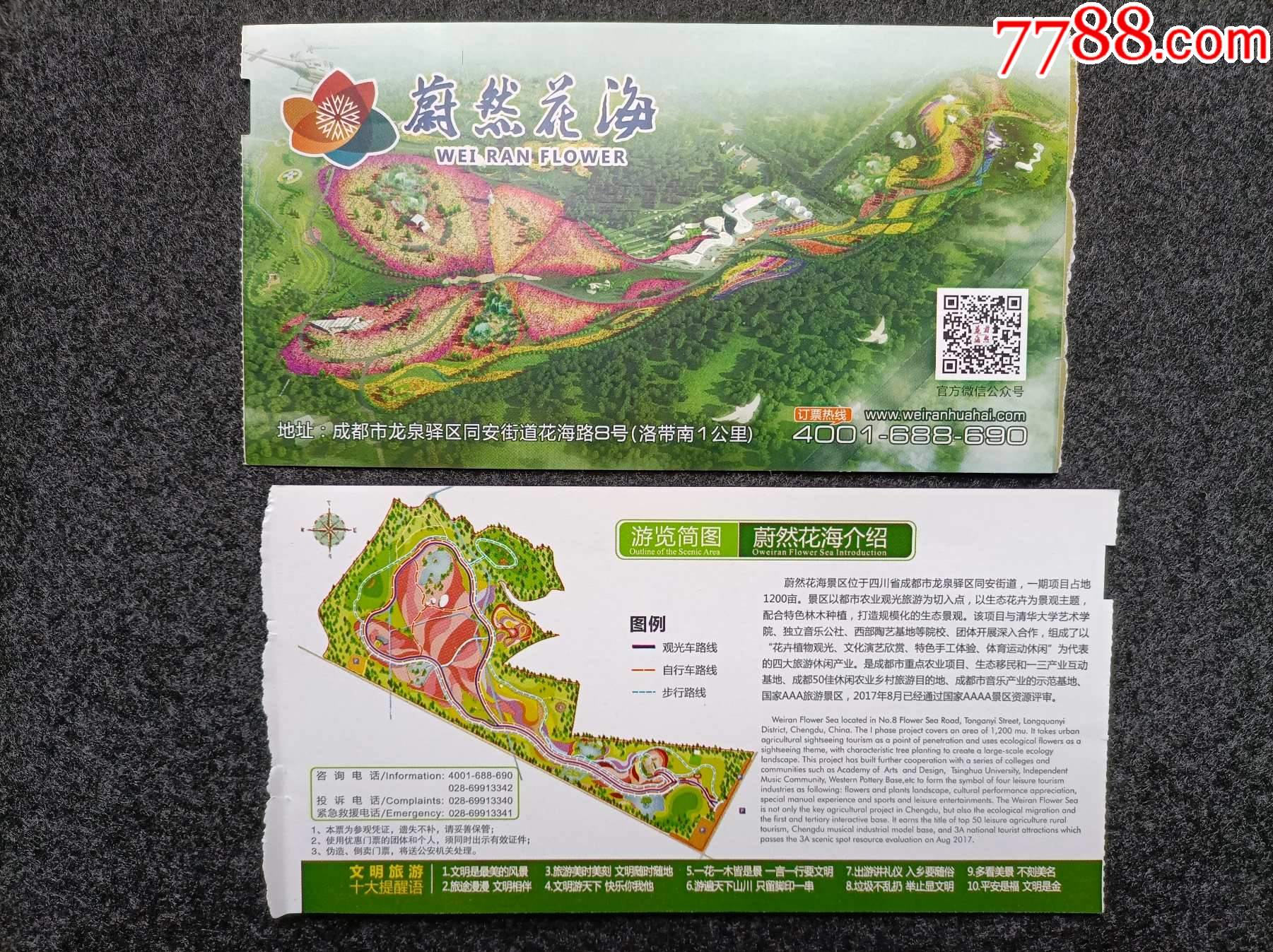 参观卷《四川蔚然花海》