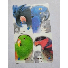 鹦鹉(se78654035)_7788收藏__收藏热线