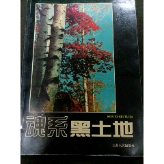 魂系黑土地(se78664282)_7788收藏__收藏热线