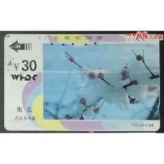 梅花30元(se78674551)_7788收藏__收藏热线