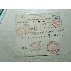 介绍信，九江地区无产阶级革命派大联合筹备委员会，盖章多。(se78675625)_7788收藏__收藏热线