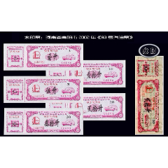 水印票：河南省南阳市2002年《93号汽油票》全套五枚：(se78681062)_7788收藏__收藏热线