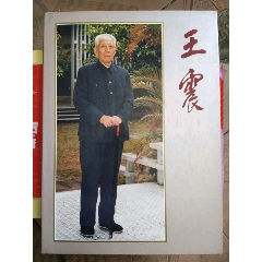 王震大画册(se78682226)_7788收藏__收藏热线