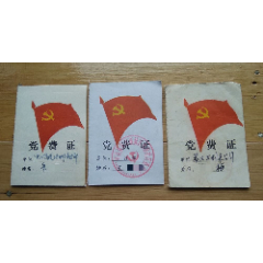 2000年左右-------3个《党费证》(se78682348)_7788收藏__收藏热线