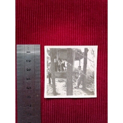 民国【友人合影／聚会留影／私人存照】(se78699880)_7788收藏__收藏热线