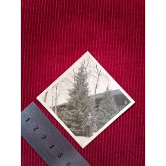 民国【友人合影／聚会留影／私人存照】(se78700007)_7788收藏__收藏热线