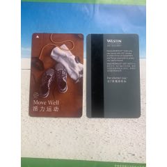 威斯汀酒店及度假村-活力运动(se78686165)_7788收藏__收藏热线