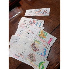 1994年上海公交学生月票一套(se78694825)_7788收藏__收藏热线