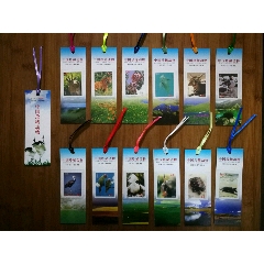 ●中国书标十年经典版：《中国珍稀动物》书香工程.中国书花【2007年12枚/套】(se78696489)_7788收藏__收藏热线