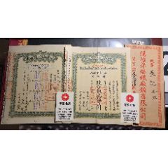民国二年盛宣怀汉治萍煤铁厂矿有限公司拾股一组全套(se78696606)_7788收藏__收藏热线