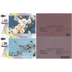 武汉田村卡－武汉市市花－梅花2枚(WDJ5(3-1/2))(se78696742)_7788收藏__收藏热线