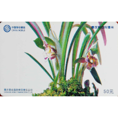 花开富贵(se78697527)_7788收藏__收藏热线