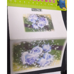 【蓝色玫瑰】(se78698318)_7788收藏__收藏热线