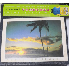 【海岛风光】椰树，滑板，夕阳，小熊，小兔，钟表，伞(se78698482)_7788收藏__收藏热线