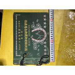 清末时期满洲驻扎部队写真(se78698506)_7788收藏__收藏热线